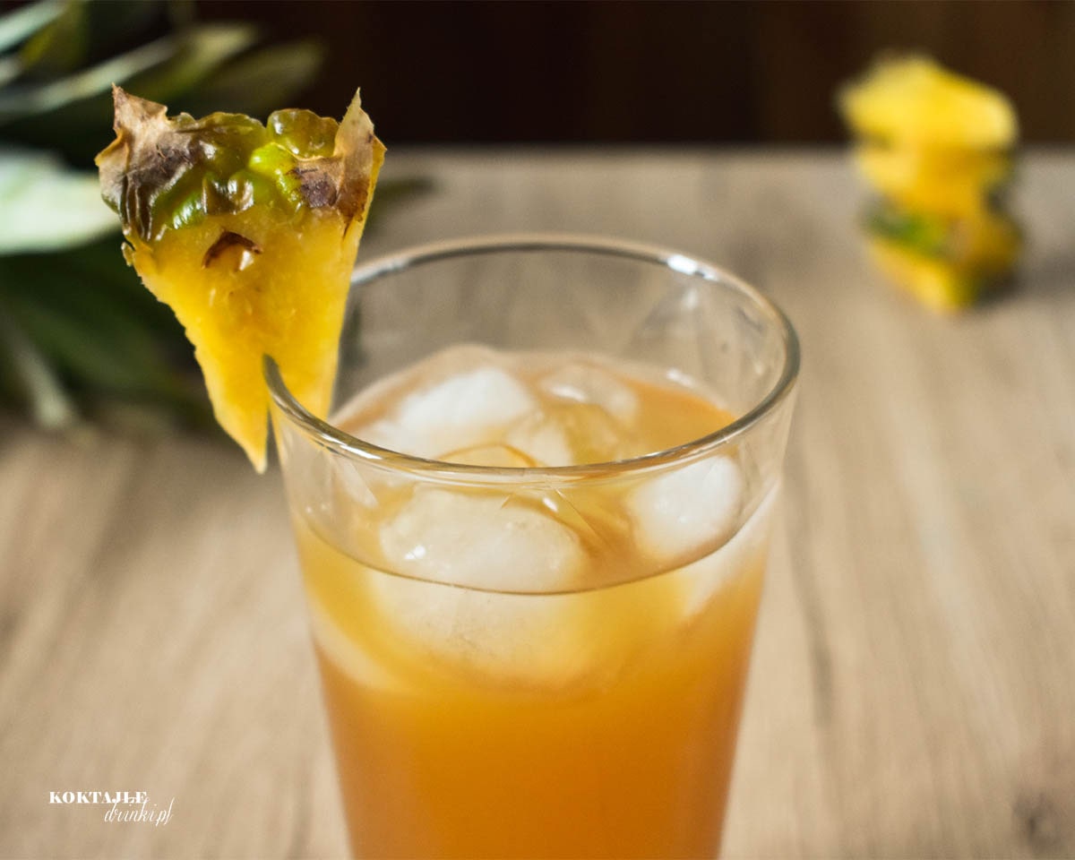 Zbliżenie z góry na drink z Jagermeisterem w otoczeniu kawałków ananasa.